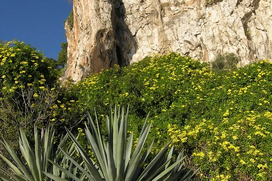 Balzi Rossi, Ventimiglia