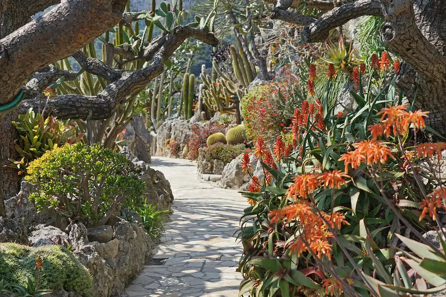 Jardin Exotique de Monaco